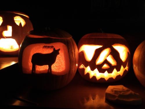 IMG 20151106 184011